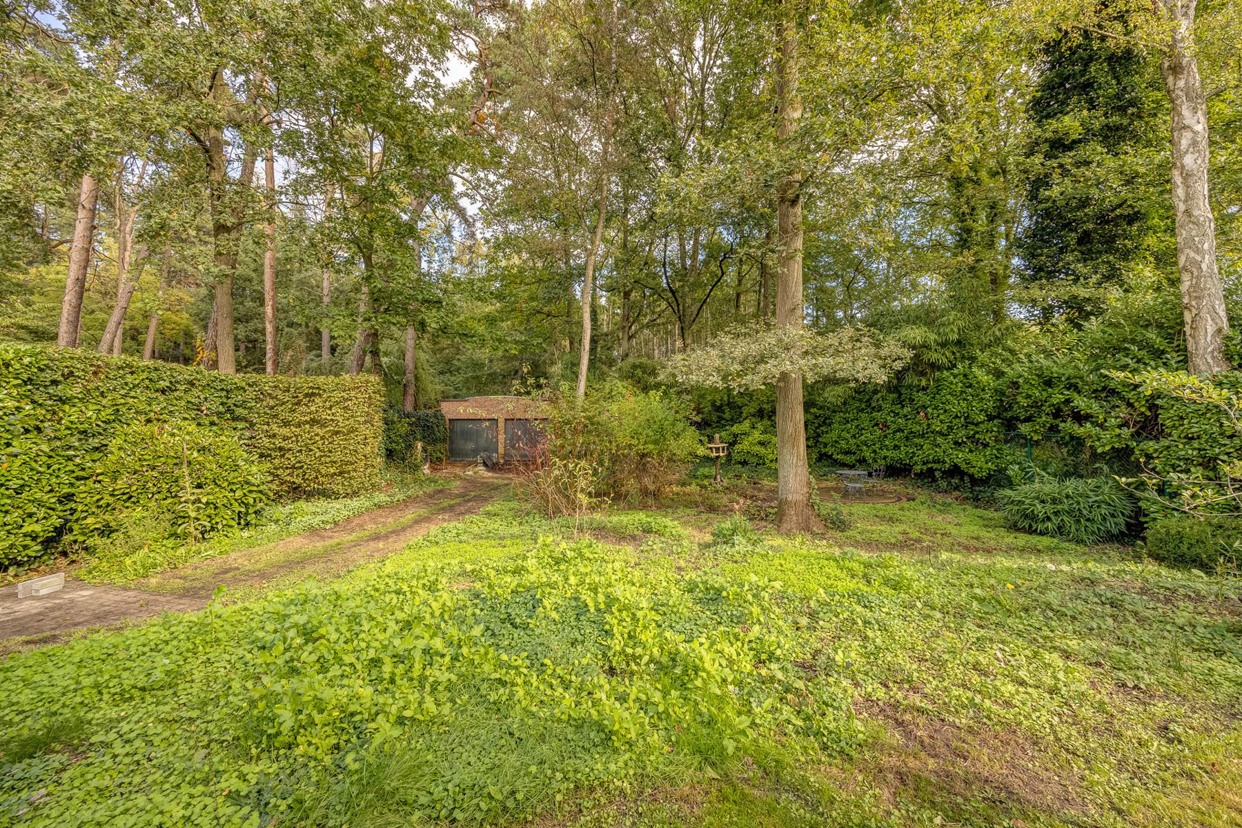 afbeelding van pand